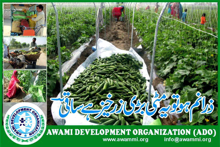 Awami Development